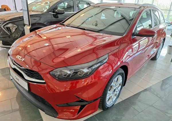 szczuczyn Kia Ceed cena 118900 przebieg: 10, rok produkcji 2023 z Szczuczyn